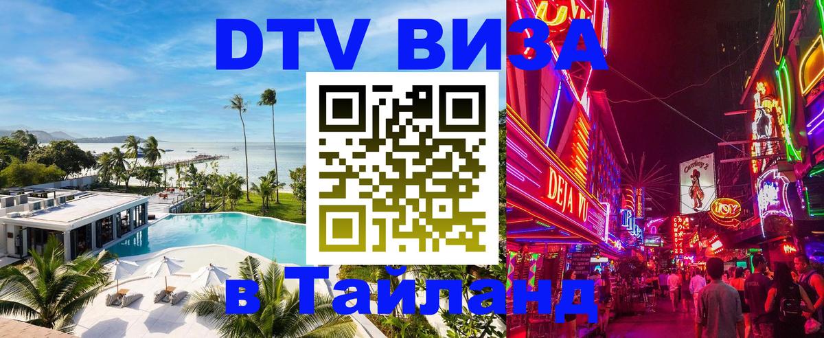 Сколько стоит DTV виза — актуальные цены, оформление даже без документов - 19.11.2025 